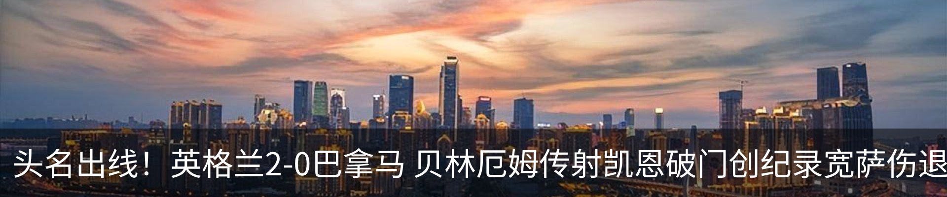 最新动态